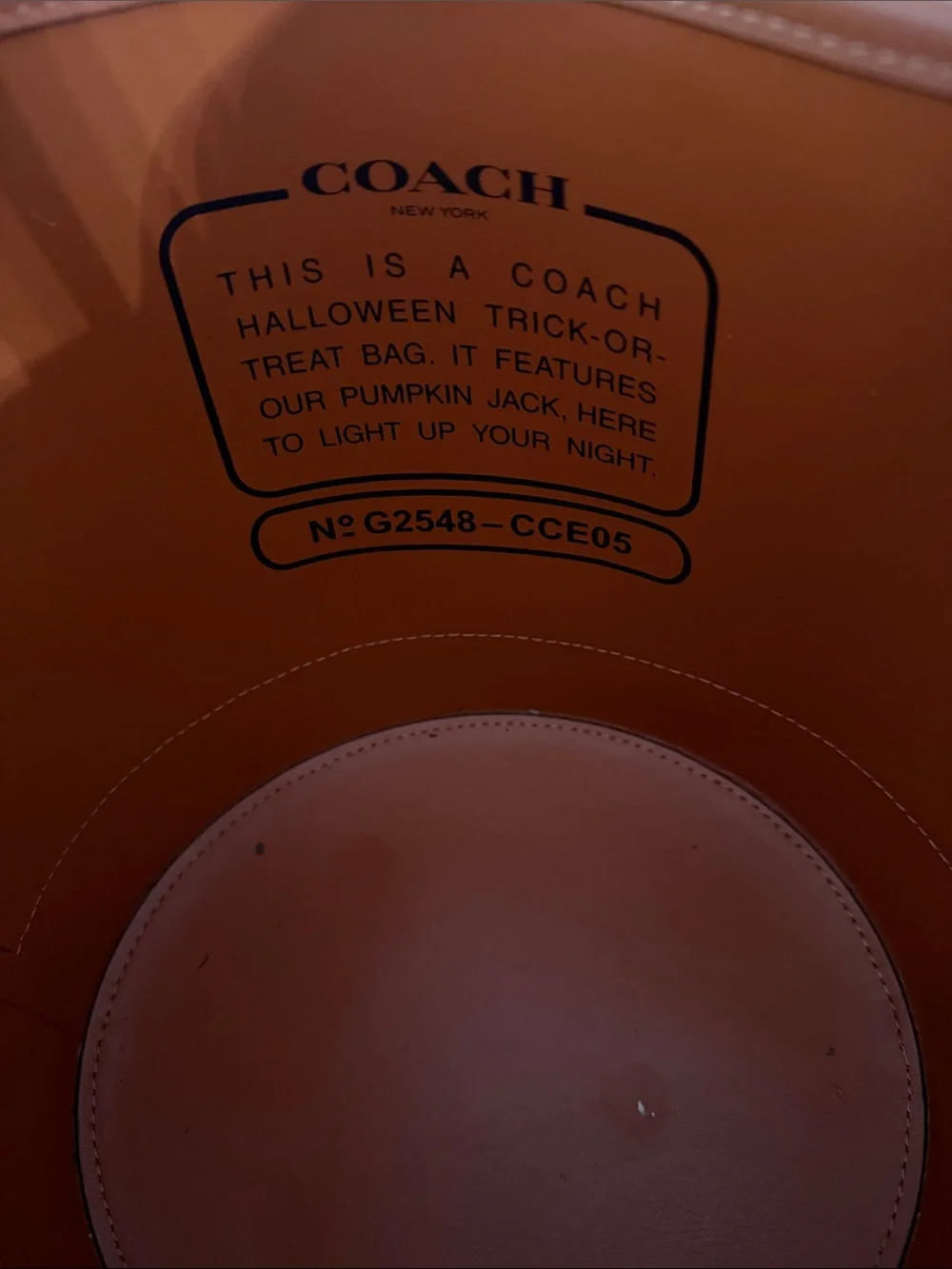 Coach Pumpkin Bucket Bag - Women's Halloween tote